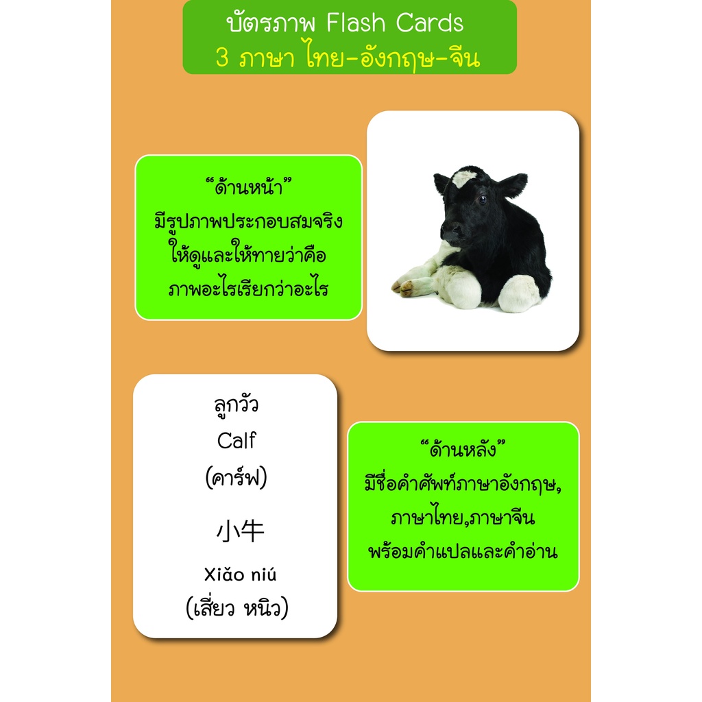 บัตรภาพ-flash-cards-สัตว์ในฟาร์ม