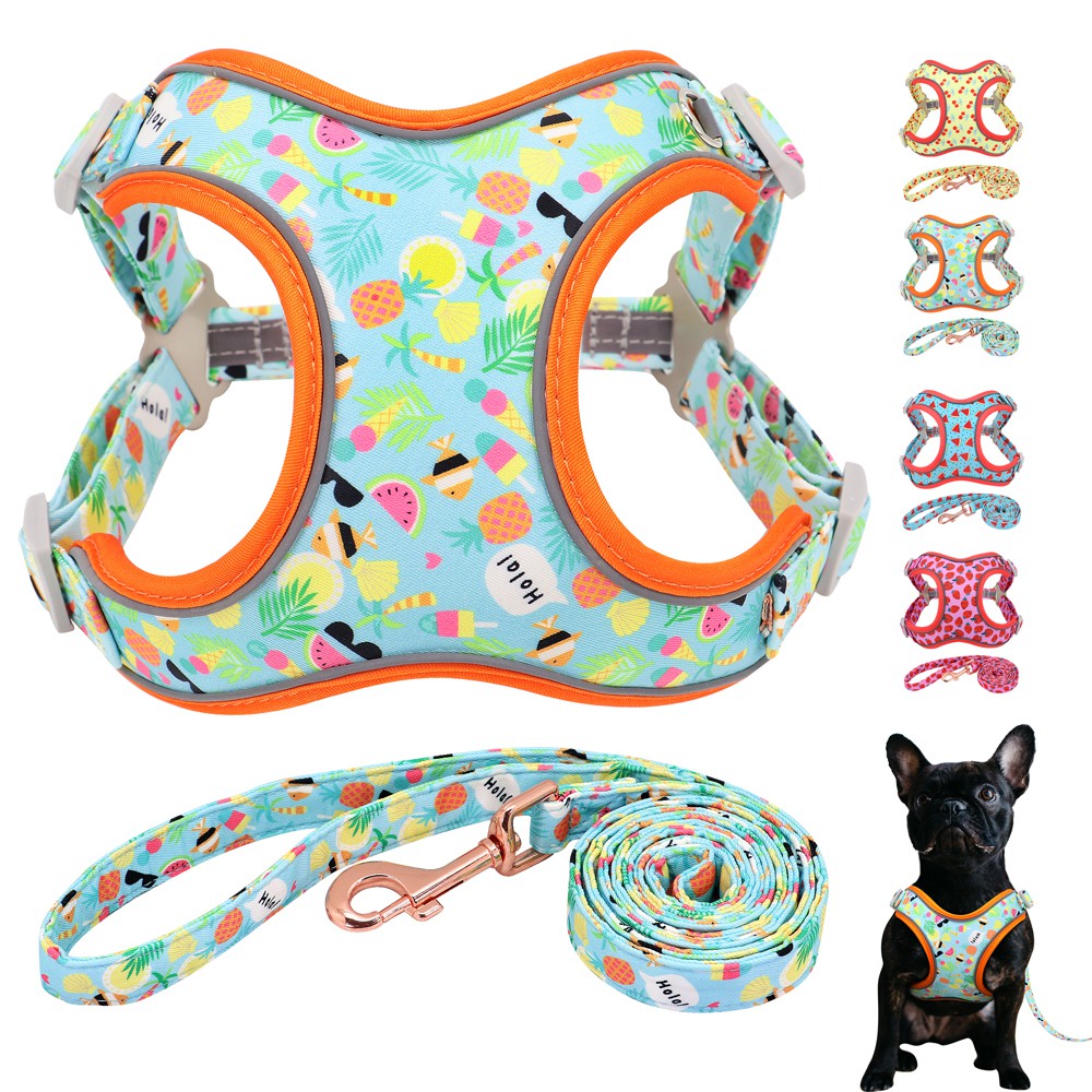 dog-harness-and-leash-set-for-small-medium-large-dogs-strawberry-cherry-watermelon-patterns