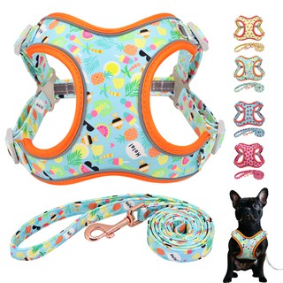 Dog Harness and Leash set for Small Medium Large Dogs Strawberry Cherry Watermelon Patterns