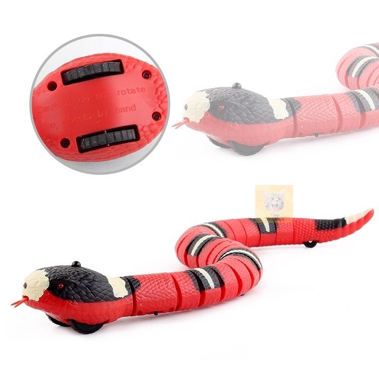 ภาพสินค้า(พร้อมส่ง) ของเล่นแมว งูเลื้อยอัตโนมัติ งูของเล่น งูแกล้งแมว สัตว์เลี้ยง แบบชาร์จ USB (Y004) จากร้าน yiqi.store บน Shopee ภาพที่ 2