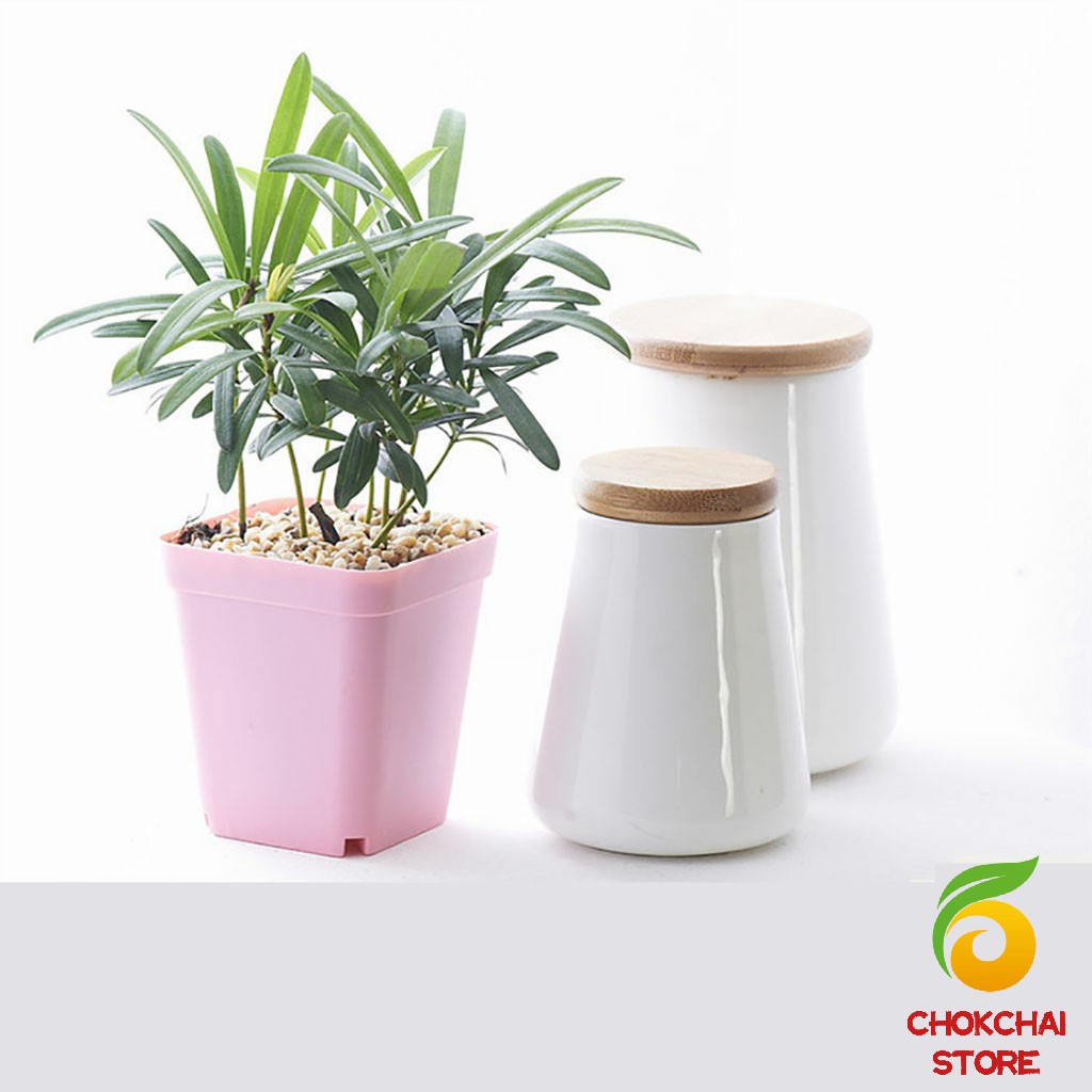 chokchaistore-กระถางต้นไม้พลาสติก-พร้อมถาดรอง-กระถางขนาดเล็ก-plastic-flowerpot