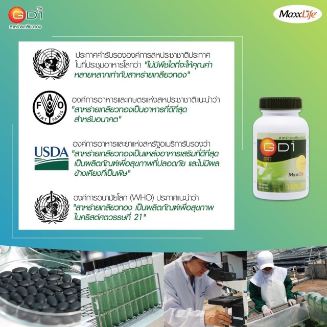 ภาพสินค้าMaxxlife GD1  สาหร่ายเกลียวทอง 100 เม็ด จากร้าน jane.ck บน Shopee ภาพที่ 2