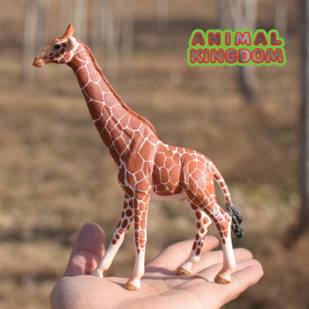 animal-kingdom-โมเดลสัตว์-ยีราฟ-ขนาด-17-00-cm-จากหาดใหญ่