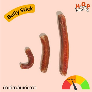 Home-Bully Stick ตัวเดียวอันเดียววัว อบแห้ง ขนมขัดแทะสุนัข ขัดแทะฟัน