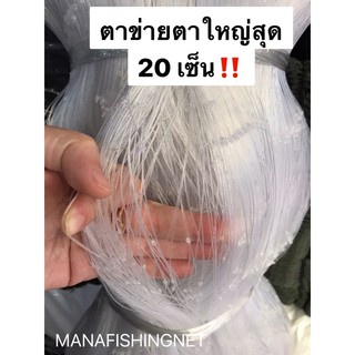 มองปลาสวาย-ข่ายดักปลาใหญ่สุดตา-20-เซ็น-ลึก-6-เมตร-ป้าย-180-เมตร