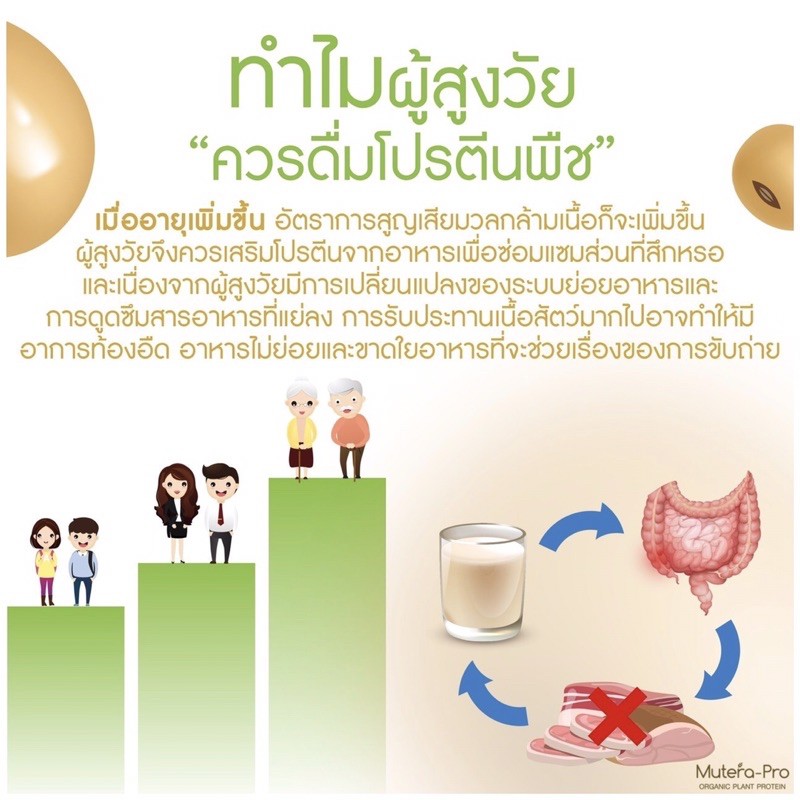 ภาพสินค้าMuteraPro โปรตีนพืช ออร์แกนิก มิวเทร่าโปร เสริมภูมิคุ้มกัน เบต้ากลูแคน ดูดซึมง่าย ซินไบโอติก ขับถ่ายง่าย ตีโต มังสวิรัติ จากร้าน nongnuusk บน Shopee ภาพที่ 4