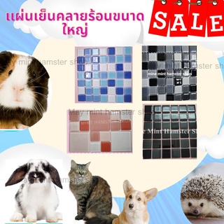 ภาพหน้าปกสินค้า(MMPetShop)แผ่นเย็นคลายร้อน สำหรับแฮมสเตอร์ น้องหมา น้องเเมวและสัตว์เลี้ยงอื่นๆ ที่เกี่ยวข้อง