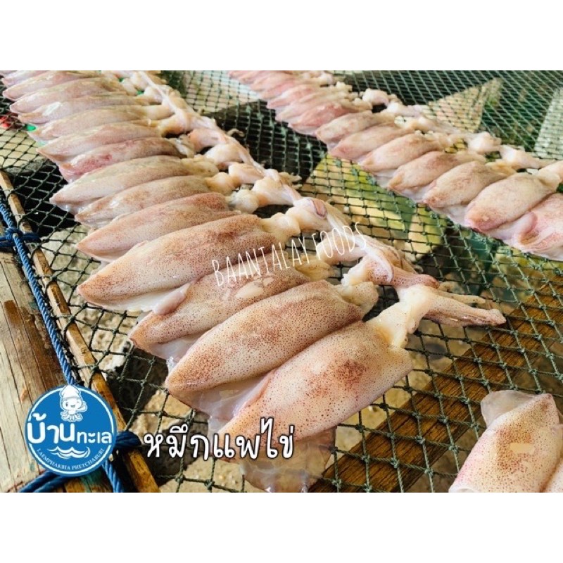 หมึกแพไข่-หมึกไข่ธรรมชาติ-นน-500-กรัม-ไม่ใช่ไข่ยัด-ไม่เค็มมาก-ตากแห้ง