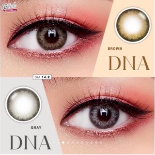 DNA Gray Blue Brown Wink Lens is คอนแทคเลนส์ สีเทา สีฟ้า สายฝอ ตาฝรั่ง โทนฝรั่ง ขอบฟุ้ง ลายฮิต ลายขายดี tiktok ค่าสายตา