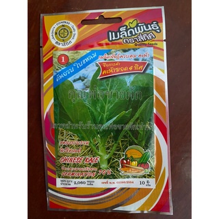 เมล็ดคะน้ายอด 10 แถม 1 คะน้ายอด คะน้า chinese kale เมล็ดพันธุ์ผัก