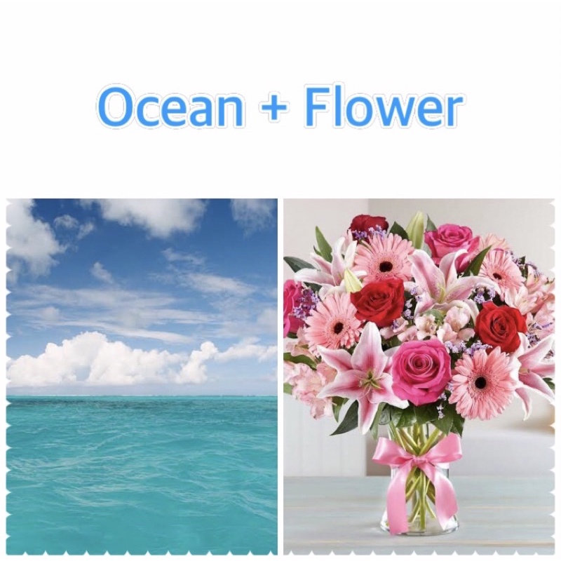 หัวน้ำหอมกลิ่น-ocean-flower