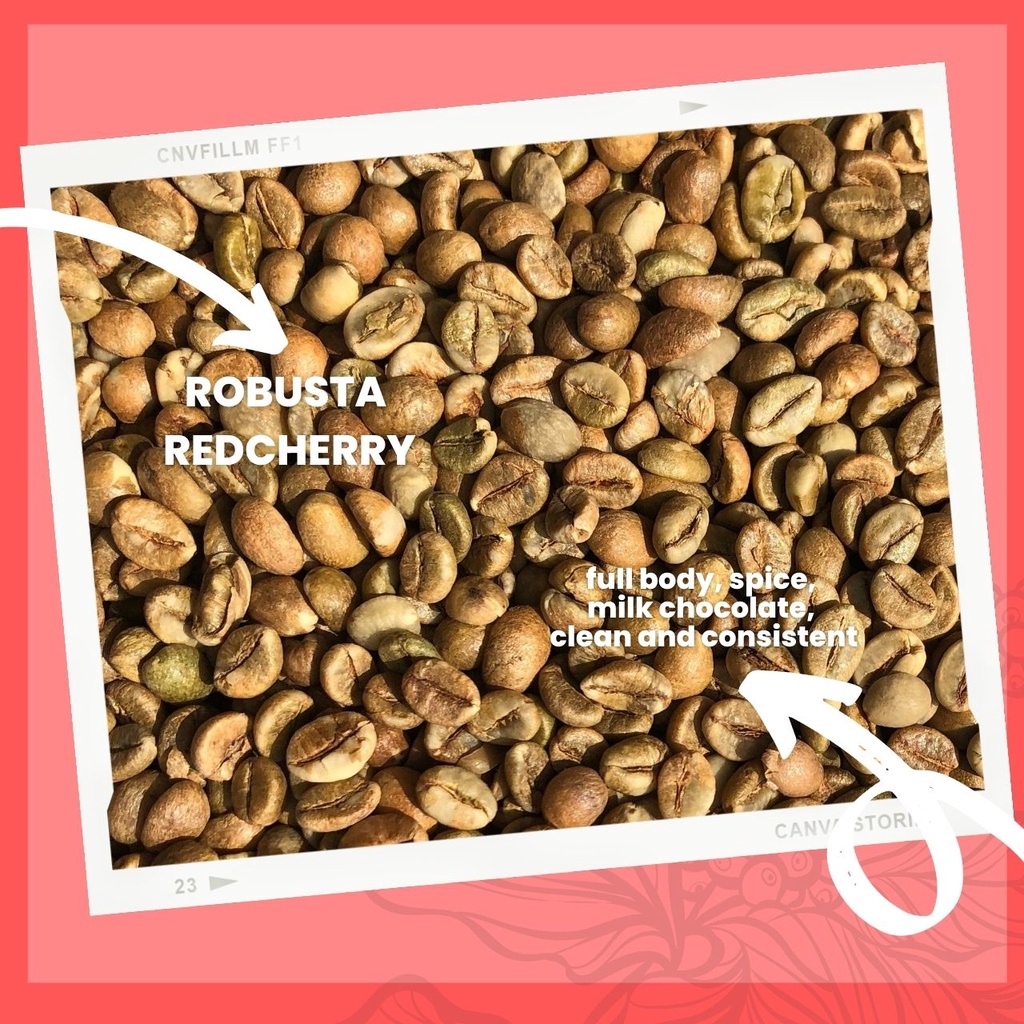 ภาพสินค้า️ ถูกและดี   เมล็ดกาแฟดิบ เมล็ดโรบัสต้า เวียดนาม น่าน Pumirak_Coffee.Beans จากร้าน pumirak_coffee.bean บน Shopee ภาพที่ 5