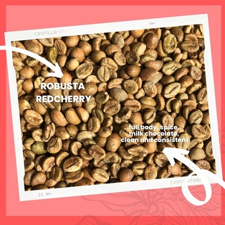 ภาพขนาดย่อของภาพหน้าปกสินค้า️ ถูกและดี   เมล็ดกาแฟดิบ เมล็ดโรบัสต้า เวียดนาม น่าน Pumirak_Coffee.Beans จากร้าน pumirak_coffee.bean บน Shopee ภาพที่ 5