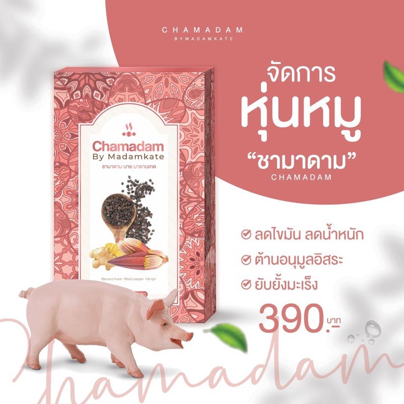 ภาพหน้าปกสินค้าชามาดาม chamadam ชาสมุนไพรไทยลดน้ำหนัก