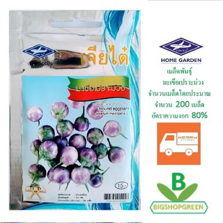 5 ฟรี 1 คละได้ เมล็ดพันธุ์ มะเขือเปราะสีม่วง เจียไต๋ เมล็ดผัก เมล็ดพันธุ์พืช  เมล็ดพืช เมล็ดพันธุ์ผัก ผักสวนครัว