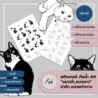 Sticker,สติ๊กเกอร์,แมว,น่ารัก,A6,ไดคัท,Die cut,กันน้ำ,เขียนได้,หลายสี,DIY,สีสวย,น่ารัก,ตกแต่ง,แมวดำ,แมวขาว,สดใส,การ์ตูน