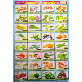 ภาพขนาดย่อของสินค้าโปสเตอร์​พืชผักสวนครัว Poster Vegetable