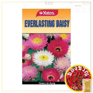 YPF Daisy Everlasting Seedsเสื้อ/กระโปรง/seeds/ผู้ชาย/สร้อยข้อมือ/แอปเปิ้ล/เมล็ด/มะละกอ/ดอกทานตะวัน/แม่และเด็ก/ RK10