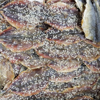 ภาพขนาดย่อของภาพหน้าปกสินค้าปลาทูงา ปลาทูหวานงา ทอดง่าย ใช่ไฟอ่อน ขนาด500กรัม จากร้าน driedseafood_sweets บน Shopee ภาพที่ 4