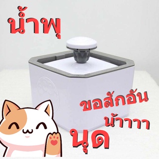 น้ำพุของเจ้านาย Fountain for Pets ใช้แทน ชามน้ำแมว ชามน้ำหมา น้ำพุแมว น้ำพุหมา มี ใส้กรองน้ำ กรองน้ำสำหรับสัตว์เลี้ยง