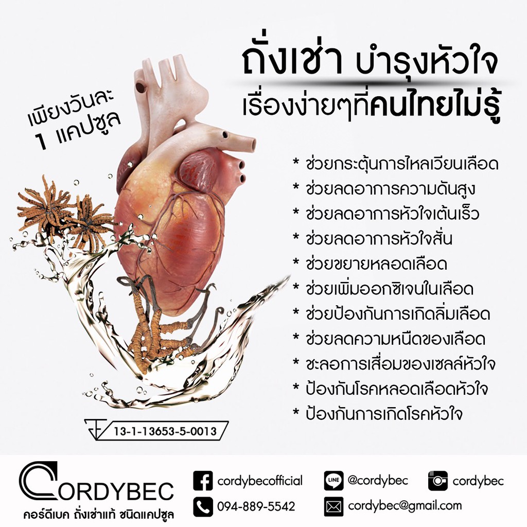 cordybec-ถั่งเช่า-8-000-ppm-แคปซูล