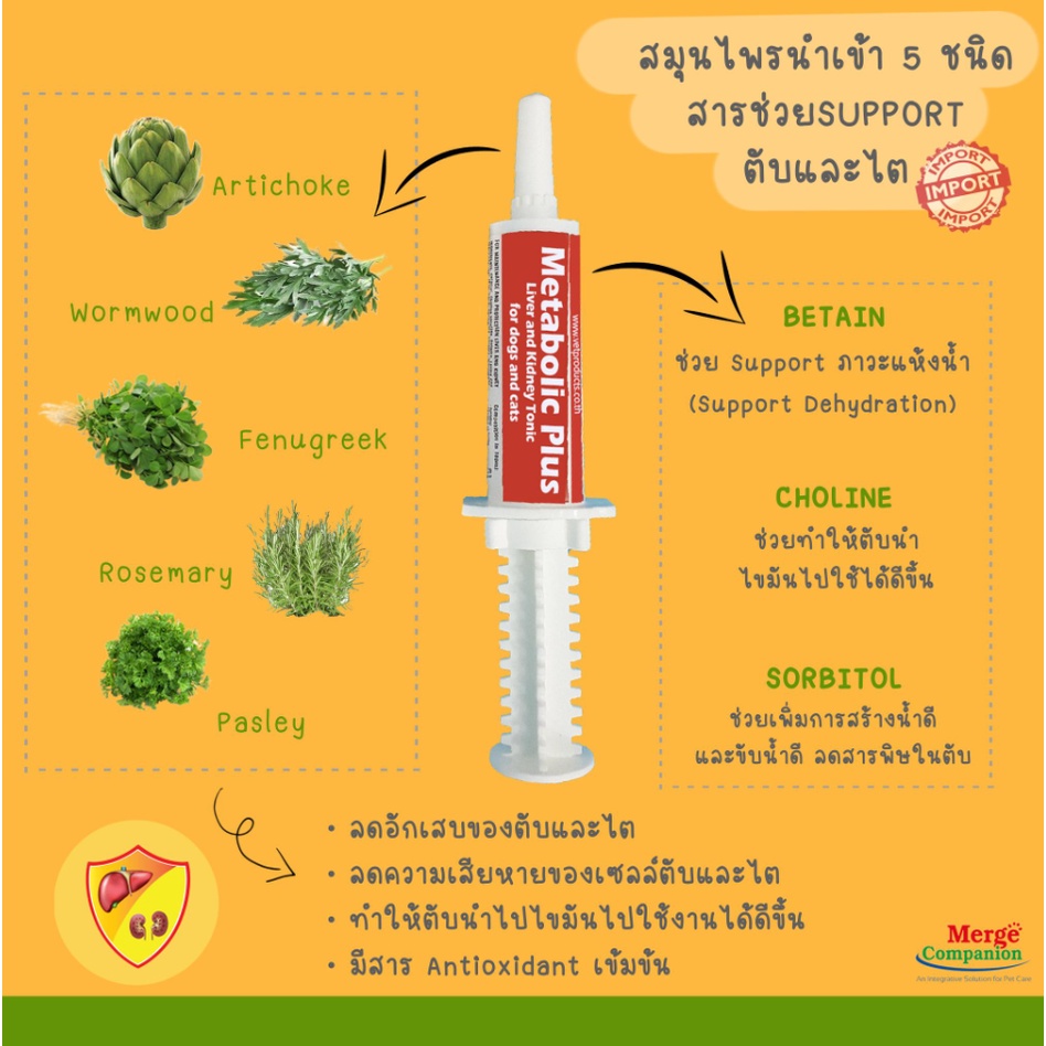 metabolic-plus-liver-20-มล-exp-04-2024-ช่วยฟื้นฟูและบำรุงเซลล์ของตับและไต