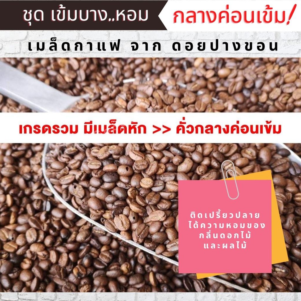 เมล็ดกาแฟ-เมล็ดกาแฟคั่ว-อาราบิก้าแท้-100-จาก-ดอยปางขอน-คั่วสดใหม่ทุกวัน-กินทุกวัน-ก็คั่วทุกวัน