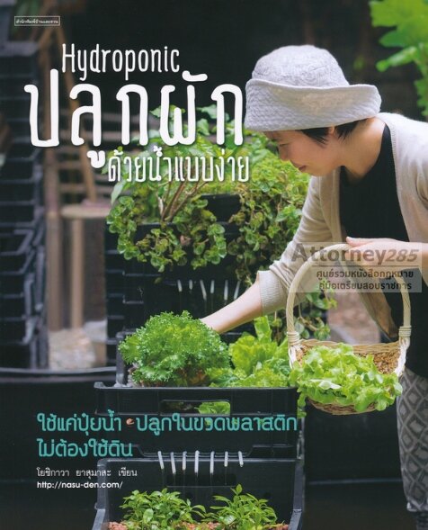 hydroponic-ปลูกผักด้วยน้ำแบบง่าย