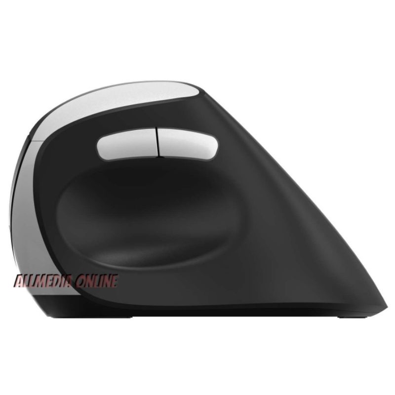 rapoo-wireless-ergonomic-mouse-ev250-vertical-mouse-รับประกันศูนย์ไทย-2-ปี