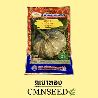 เมล็ดพันธุ์ ฟักทอง ลายข้าวตอก ( PUMPKIN )