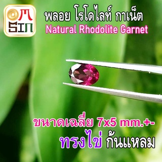 💎A221 ขนาด 7 x 5 มิล ไข่ พลอย โรโดไลท์ สี ชมพูเชอรี่ RHODOLITE NATURAL พลอยสด ธรรมชาติแท้ ดิบ ไม่เผา