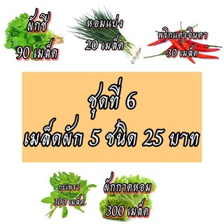 ภาพหน้าปกสินค้าเมล็ดผักชุดที่6 เมล็ดผักสวนครัว เมล็ดผัก25บาท ผักชี หอมแบ่ง พริกแดงจินดา กะเพรา ผักกาดหอม ที่เกี่ยวข้อง