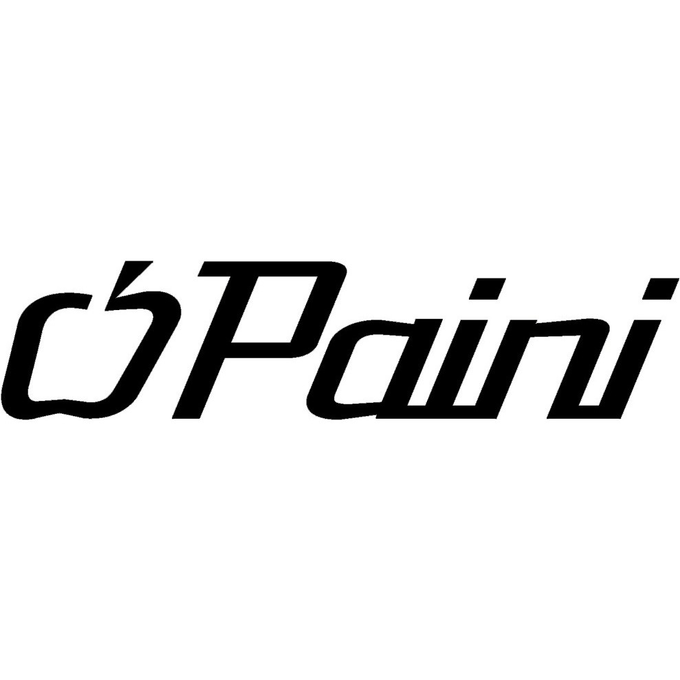 paini-pa-92cr204-ก๊อกเดี่ยวอ่างล้างหน้า-แบบติดเคาน์เตอร์-รุ่น-arena