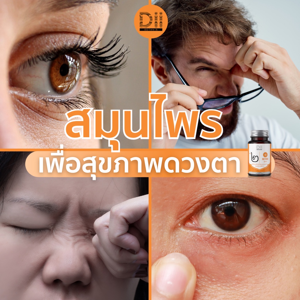 ภาพสินค้าDii No.๒ Netra บำรุงสายตา จอประสาทตา (30 แคปซูล) จากร้าน diisupplements บน Shopee ภาพที่ 5