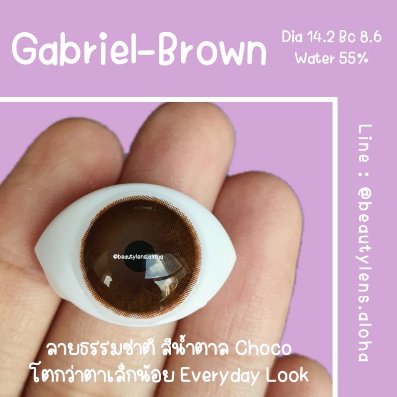 gabriel-brown-gray-สายตา-00-700-รายเดือน