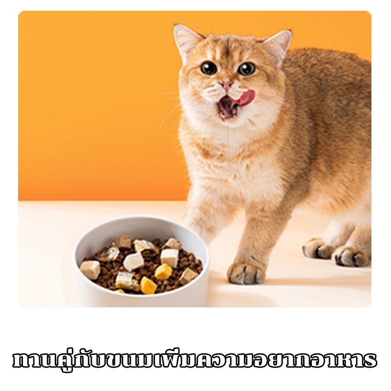 ขนมแมว-ขนมแมวฟรีซดราย100g-80g-ภชนาการสัตว์เลี้ยงแพ็คเนื้อแห้ง-เกรดอาหารคน-ดีต่อสุขภาพ-ขนมฟรีซดราย