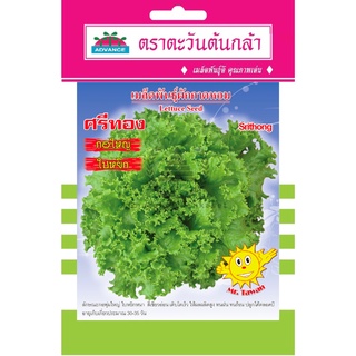 เมล็ดพันธุ์ ผักกาดหอม ศรีทอง 2 กรัม/ซอง ตราตะวันต้นกล้า