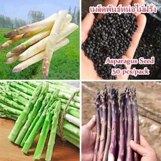 *เก็บปลายทาง*‼️พร้อมสมล็ด/ซอง Asparagus Seeds for Planting เมล็ดพันธุ์ผัก เมล็ดผักต่（นี่มันเมล็ดพืช ไม่ใช่พืช!）