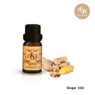 Aroma&amp;More GINGER "Select" Essential Oil 100% / น้ำมันหอมระเหยขิง CO2 Extract 100% India 5/10/30ML