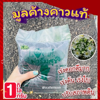 มูลค้างคาวแท้ 100% 🍃 1 กิโล ปุ๋ยเร่งดอก บำรุงต้น ใบ เร่งการแตกรากใหม่ ปุ๋ยใส่ผัก ใส่ต้นไม้ ดอกไม้ ปุ๋ยอินทรีย์คุณภาพสูง