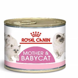 ภาพขนาดย่อของภาพหน้าปกสินค้าBabyCat Can Royal Canin 195g จากร้าน momypuppy บน Shopee