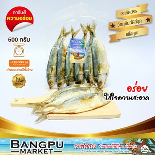 ปลาทูมัน หมักจากเรือ หอม สด ไม่เค็ม จากเรือ คัดตัวใหญ่ๆ ขนาด 500 กรัม