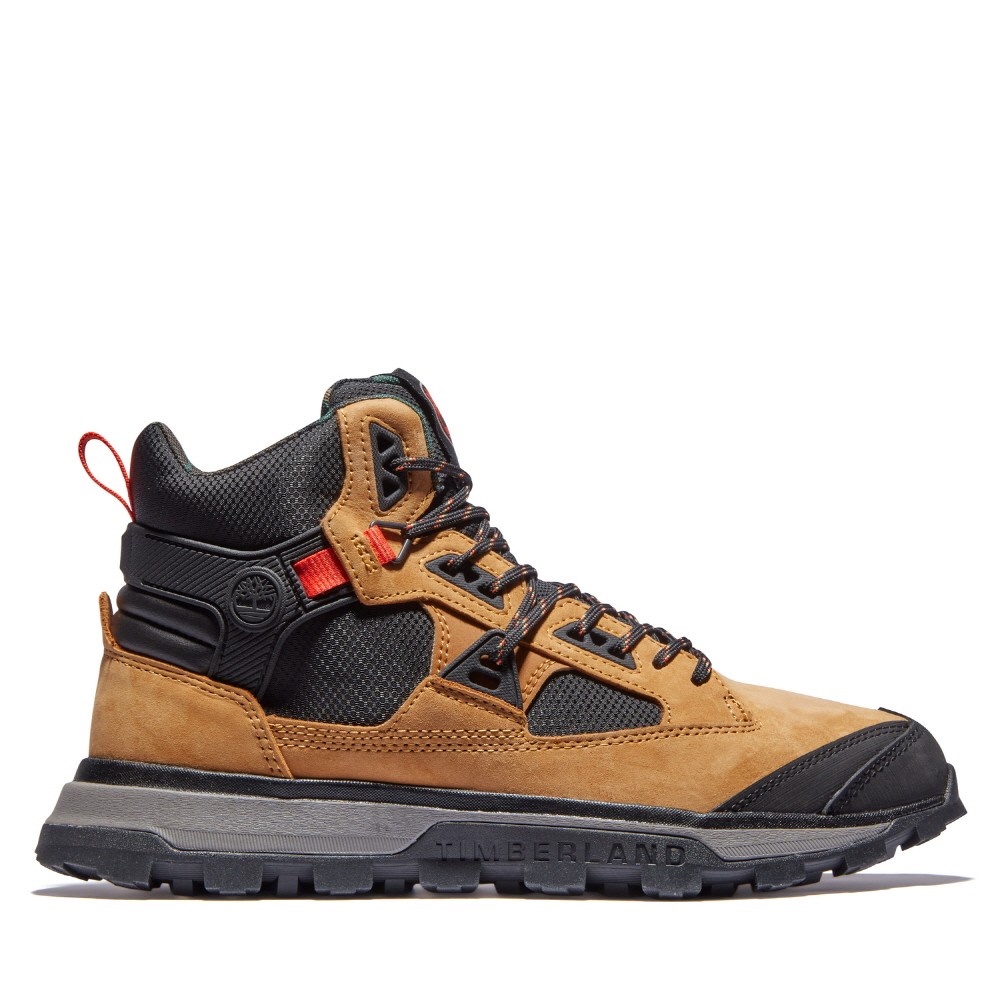 ภาพหน้าปกสินค้าTimberland MEN'S TREELINE STR HIKING BOOTS รองเท้าผู้ชาย (FTMMA2EH7) จากร้าน timberland_officialshop บน Shopee