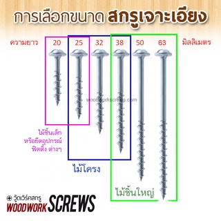 ภาพขนาดย่อของภาพหน้าปกสินค้าสกรูจิ๊กเจาะเอียง PH2/SQ2 งานไม้โดยเฉพาะ เกลียวปล่อย ติดแหวน 25/32/38/50/63mm Pocket hole screws ทุกความยาว จากร้าน woodworkscrews บน Shopee ภาพที่ 4