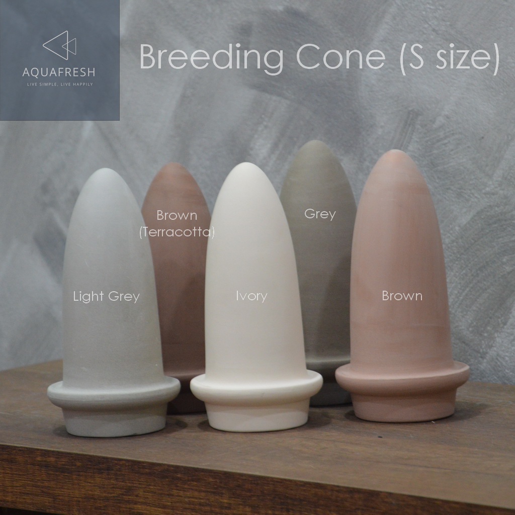 breeding-cone-discus-cone-s-size-โคน-โดมเซรามิค-สำหรับเพาะปลาปอมปาดัวร์หรือปลาเทวดา