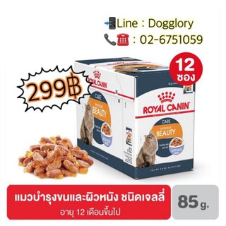 Royal Canin : Hair&Skin Jelly สูตรบำรุงขนและผิวหนัง ( Jelly )