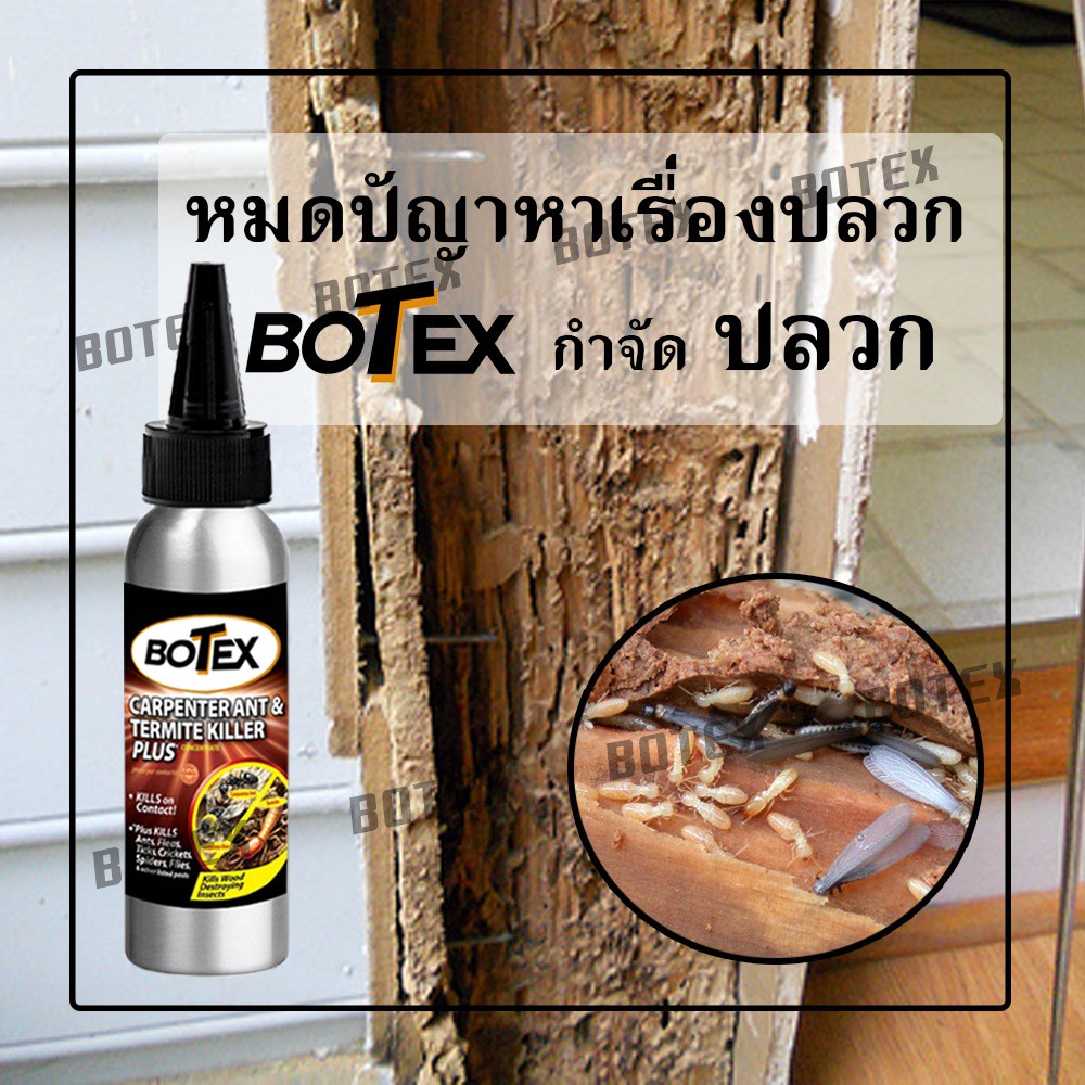 กำจัดปลวก-botex-ฆ่าปลวก-กำจัดปลวก-ปัญหาปลวก-ทำลายปลวก-ยากำจัดปลวก-ผงกำจัดปลวก-ผลิตภัณฑ์กำจัดปลวก