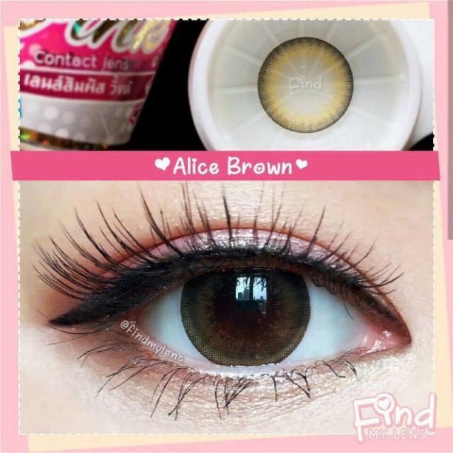 alice-brown-1-น้ำตาล-สีน้ำตาล-มินิ-ขอบดำ-โทนแบ๊ว-winklens-wink-สายตา-contact-lens-คอนแทคเลนส์-bigeyes-ค่าสายตา-1-25