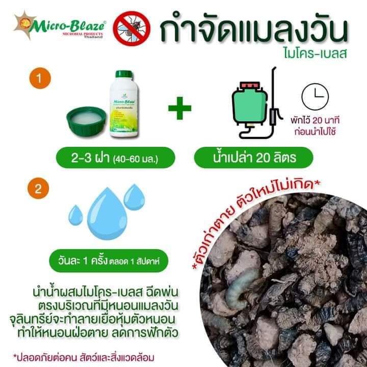 ไมโคร-เบลส-หัวเชื้อจุลินทรีย์-กำจัดกลิ่น-กำจัดแมลวัน-ขนาด-250-มล-แถมวิตามินอีซี่-ขนาด-100g-2ซอง