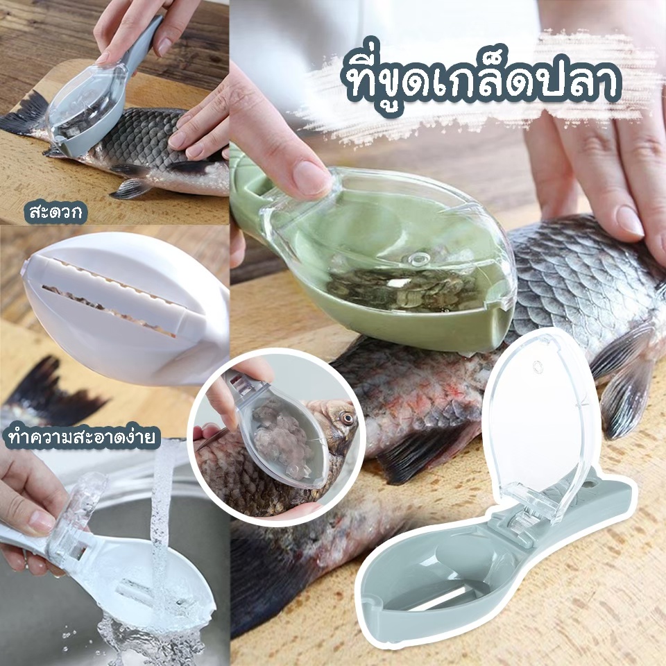 พร้อมส่ง-ที่ขอดเกล็ดปลา-แบบมีฝาปิด-ทำให้เกล็ดไม่กระเด็น-ที่ขอดเกล็ดปลา-อุปกรณ์ครัว-ที่ขูดเกล็ดปลา-อุปกรณ์ขอดเกล็ด